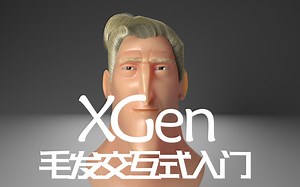 Xgen新手入门教程（交互式）