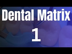 Operative |Dental Matrix 1