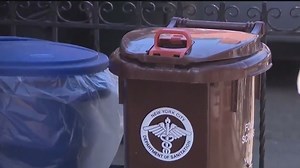 A full list of what to compost as new rules go into effect in NYC