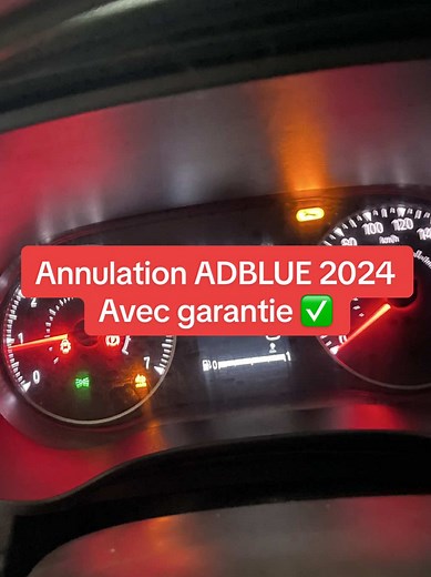 Annulation ADBLUE 2024 pour Renault Dacia