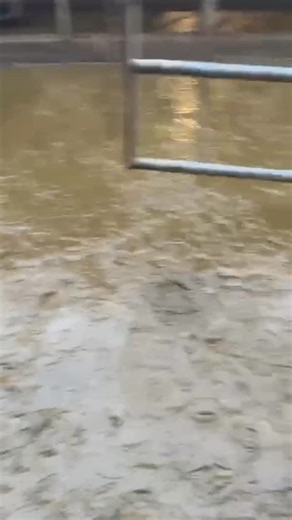 We’ve now finished serving our cows, which means we’ve spent the last few months carefully getting them pregnant again, ready for our block calving pattern 🤍 A cow only starts producing milk after she’s had a calf. Over time (usually a year or so later), her milk production naturally starts to tail off — which is why she needs another baby to keep producing milk for us for another year. Those calves have two paths 🐮 ✨ The girls will often join our own milking herd in the future ✨ Others will g