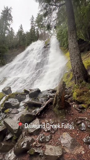 5.9K views · 2.3K reactions | Chasing waterfalls in Oregon | Oregons Best | Facebook