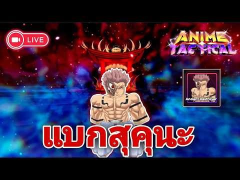 🔴Live Roblox l anime tactical simulator หาสุคุนะ กันนน!