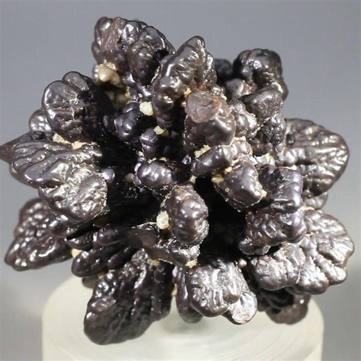 Prophecy Stone (limonite After Marcasite) ~44mm | MZS137 - Etsy