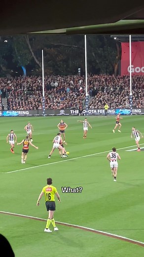 What Happened Here? Collingwood AFL Umpires Confused Explained