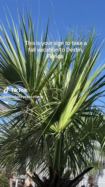 And we would love to host you!! 🌞🏝️ #destinflorida #wheretostayindestin #destinfloridavacay #destinairbnb