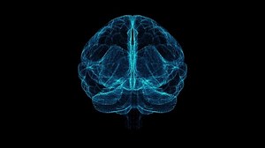 clip-1033737881-3d-animation-rotating-model-human-brain-innovative
