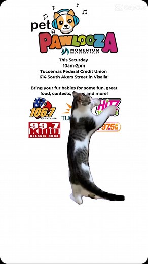 99.7 Classic Rock on Reels