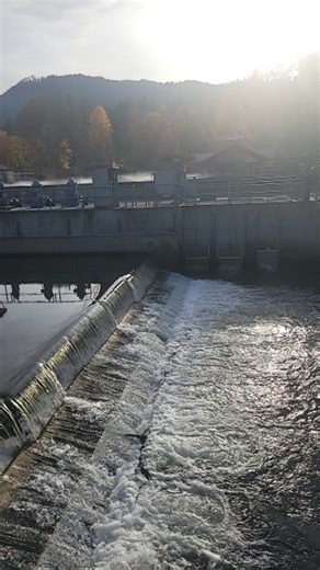 FISH (Friends of the Issaquah Salmon Hatchery) on Reels