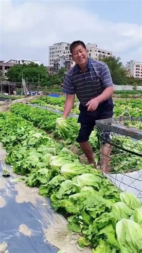 Does My Country Living Tip Spark Joy? Rural Bliss Natural Living