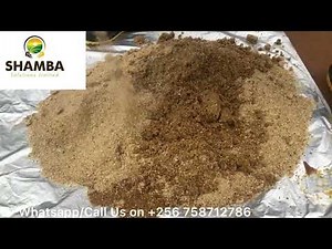 Predigesting/Fermenting Dairymeal using MolaPlus Livestock Microbes