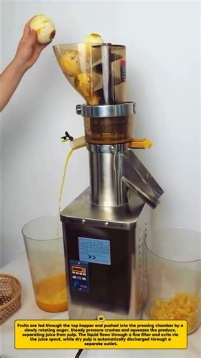 Commercial Cold Press Juicer | Maximum Juice Yield
