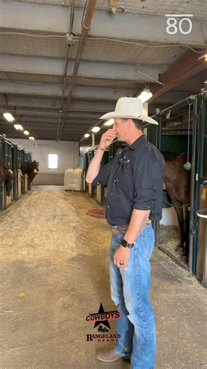 121K views · 2.6K reactions | Hey Bro, Cowboys Don't Cry  Although that could be the title of the next country music hit, these are just a few of Chad Fike's equine superstars. Come along with us as Chad gives us the ultimate barn tour and allowing us to meet his horses! Did you see Bro on the track last night as Chad claimed the fastest time of the evening? Chad Fike Chuckwagon Racing #CalgaryStampede #Stampede2024 #CowboysRangelandDerby | Calgary Stampede Chuckwagons & Relay | Facebook