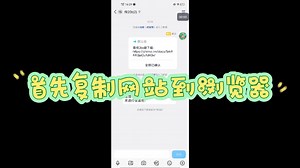 Bt服下载全过程