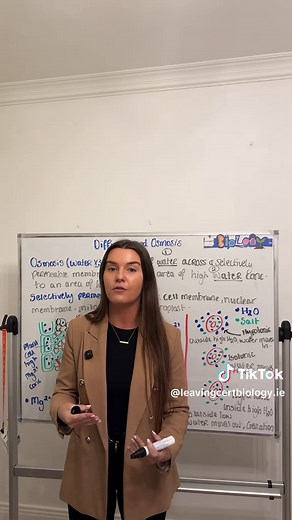 5th & 6th Years, let’s tackle those interpretation questions surrounding the processes substances move by! AAC topic for 5th years Unit 2 topic for 6th years Both NEED to know 🤝 #stem #leavingcertbiology #irishtiktok #teachersoftiktok #leavingcert