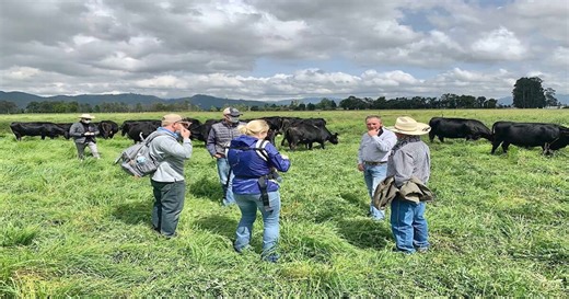 Montana Ag Network: Creating new allies for agricultural markets