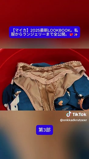 2025年最新LOOKBOOK：私服とランジェリー公開