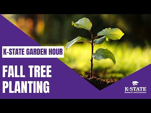 K-State Garden Hour: Fall Tree Planting