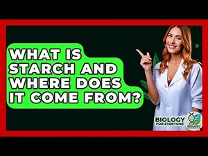 What Is Starch And Where Does It Come From? - Biology For Everyone