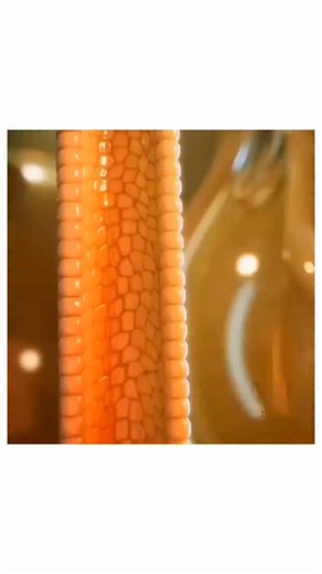 Science | A renal cyst forms when fluid accumulates within a section of the kidney's filtering unit—the renal tubule. This usually occurs due to... | Instagram