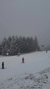 12K views · 450 reactions | It's a snowy Sunday here at the Shoe! March is off to a great start. Live cams  https://bit.ly/2Tfdgp4 Plan your trip  https://bit.ly/2IZ1J8m | Snowshoe Mountain | Facebook