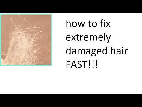 how to fix over bleached /processed hair