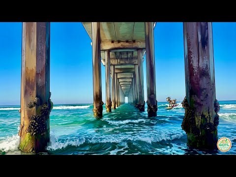 Walking Beneath the Epic Black’s Beach Pier in San Diego, California 🌊