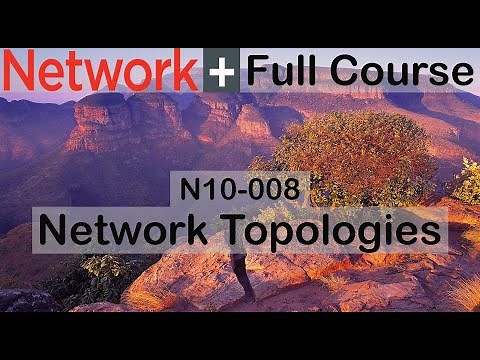 CompTIA Network+ N10-008 Full Course for Beginners - Network Topologies