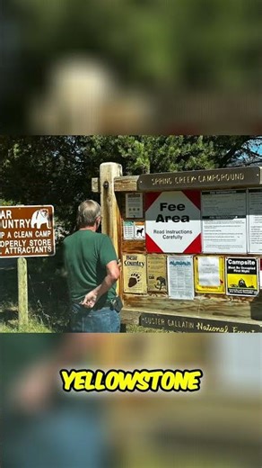 Yellowstone Adventure: Camping at Spring Creek Campground #shorts