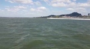 11K views · 100 reactions | Cat Killer, still the fastest Fountain out testing today in preparation for the Track Batteries TT Regatta this Sunday put on by the Trinidad & Tobago Powerboat Association. | Hammer Down Boating | Facebook