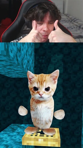 Sad Cats 10 Minecraft Animation