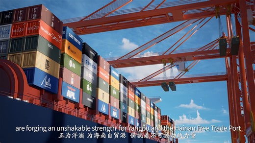 Yangpu Port is setting sail toward its vision of becoming an international hub port. As a pioneer and demonstration zone of the Hainan Free Trade Port, it’s leveraging powerful policy advantages to accelerate growth. What drives Yangpu’s speed? Find out! #HainanFTP #Yangpu #Danzhou #SpecialCustomsOperations | Visit Danzhou