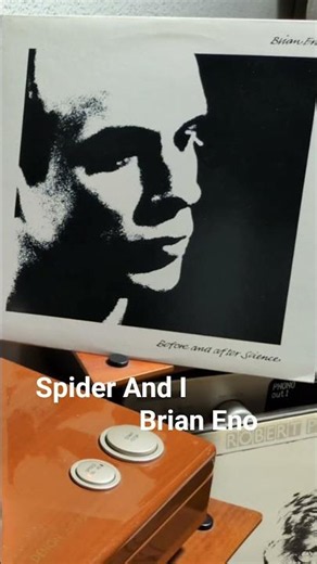 Spider And I - Brian Eno