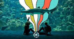 36K views · 126 reactions | By reconnecting with the sea, you reconnect with yourself. Come feel the flow of nature with us, at The Florida Aquarium. | The Florida Aquarium | Facebook