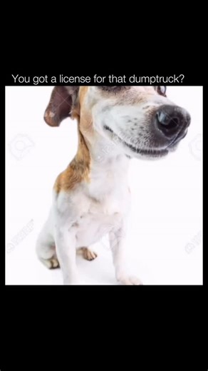 WASTED on Instagram: "🤔 A dump truck is a heavy-duty vehicle designed to transport and unload bulk materials such as sand, gravel, demolition debris, or soil. It typically features an open cargo bed that can be hydraulically lifted from the front, allowing the material inside to slide out the back. Dump trucks are built to handle rugged environments and heavy loads, making them essential equipment on construction sites, mining operations, and infrastructure projects. Their durability and high l