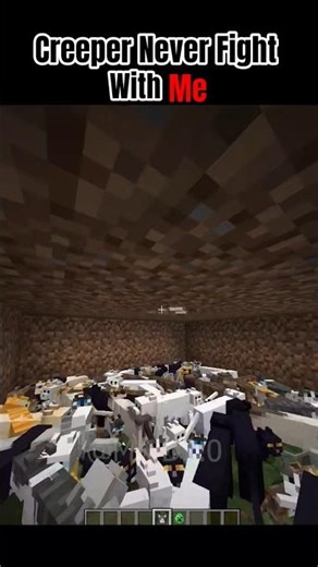 Creeper Never Fight with Me💀🤯#minecraft #shorts #itsmeissie