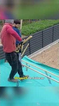 BuildingthePerfectPergola:AStep-by-StepGuide.