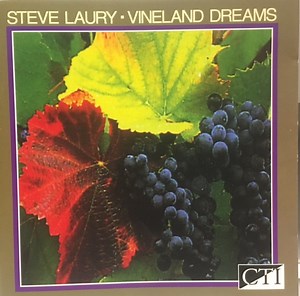 Steve Laury - Vineland Dreams