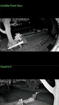 Tapo C545D - See both cameras on third party apps (IP Cam Viewer)
