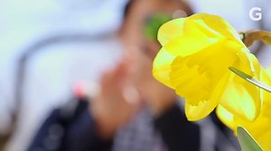 The World's First Phone With 3 Cameras