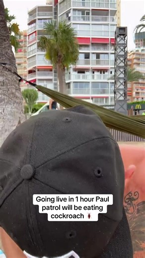 Live Cockroach Eating Challenge with Paul Patrol