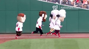 10K views · 215 reactions | Nationals Racing Presidents - Season 12, Episode 37 "The One With the Move on the Inside" | Washington Nationals | Facebook