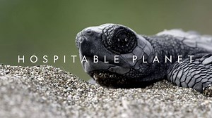312K views · 287 reactions | Nothing hostile about this hospitable planet. Just happy animals enjoying sunshine and rainbows in this totally-real-definitely-not-a-joke new documentary series. | National Geographic TV | Facebook