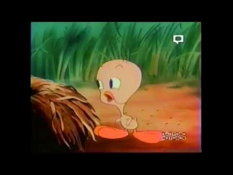 Cartoon Network - January 2004 Promos & Bumps