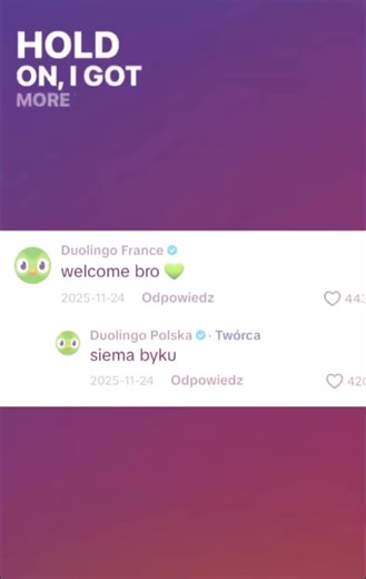 Learn Polish with Duolingo: Effective Language Tips