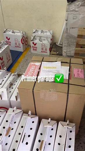 A sus órdenes 🫡 Granja Greer | Juan Greer Jr.