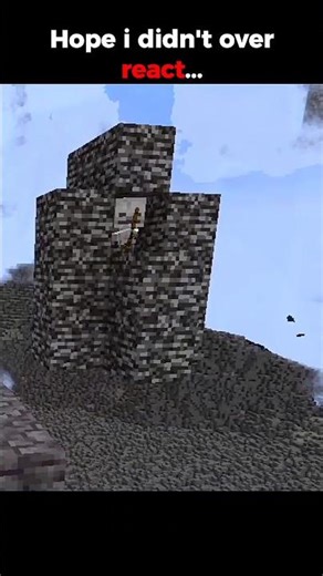 Hope I didn't over react. #minecraft #minecraftshorts #minecraftmemes