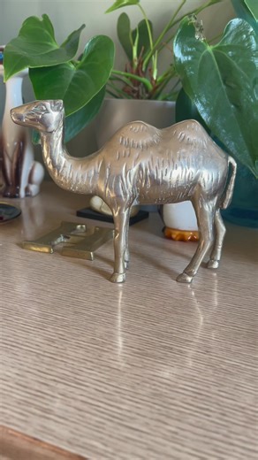 Obsessed with this brass camel we found yesterday! Double humps are harder find ✨#vintagebrass #brassanimals #vintagereseller