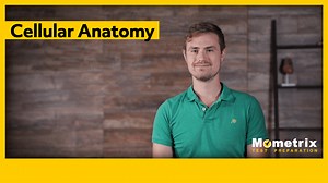 An Introduction to Cellular Biology - Biology Review (Video)