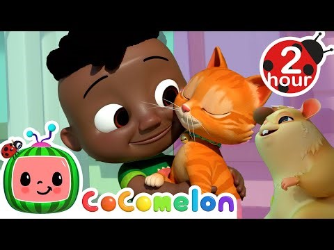 Cody's School is Having Pet Day | CoComelon - Cody's Playtime | Songs for Kids & Nursery Rhymes